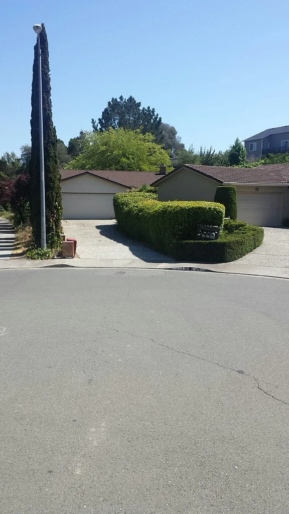 539 Kister Cir photo 1