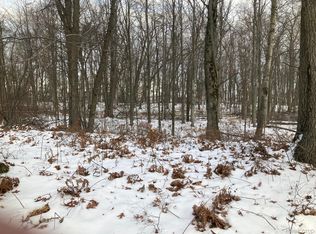 Lots 15 & 16 C St, Caseville, MI 48725