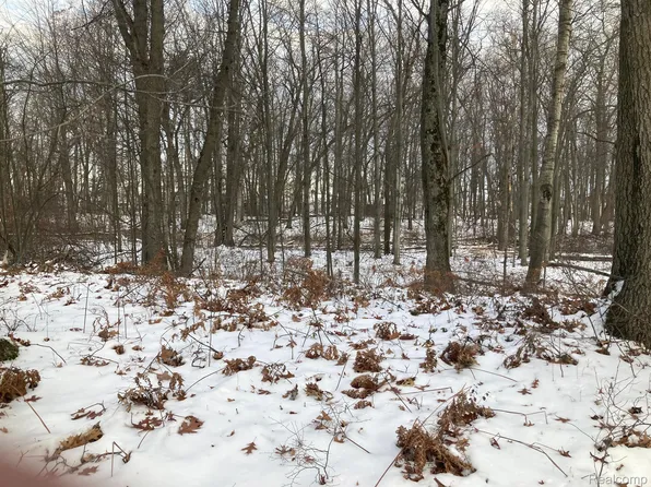 Lots 15 & 16 C St, Caseville, MI 48725