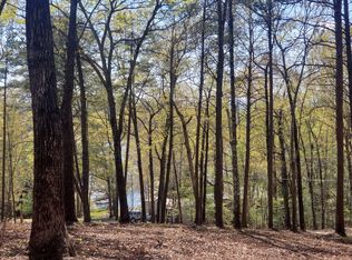 Lake Cove Dr, Morganton, GA 30560