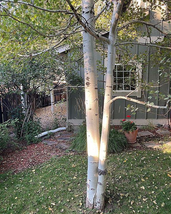 2nd image of 164 Clare Dr