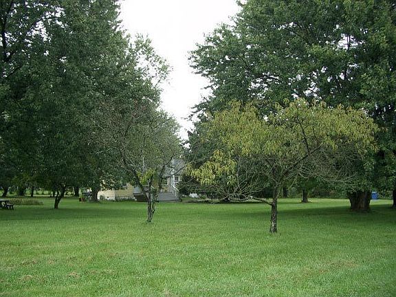 View of land