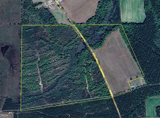 0 Nighthawk Rd, Alma, GA 31510