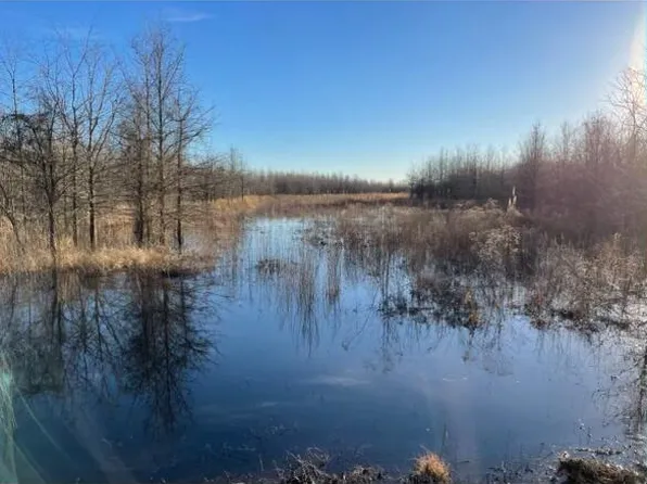 No Pinion Rd, Lambert, MS 38643