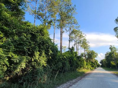 (Undisclosed Address), Old Town, FL, 32680