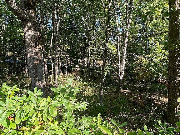 2nd image of 3 Boxford Dr