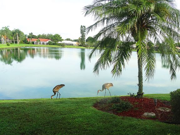 Views of 5 acre Lake