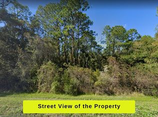 7005 Treiman Blvd, Webster, FL 33597