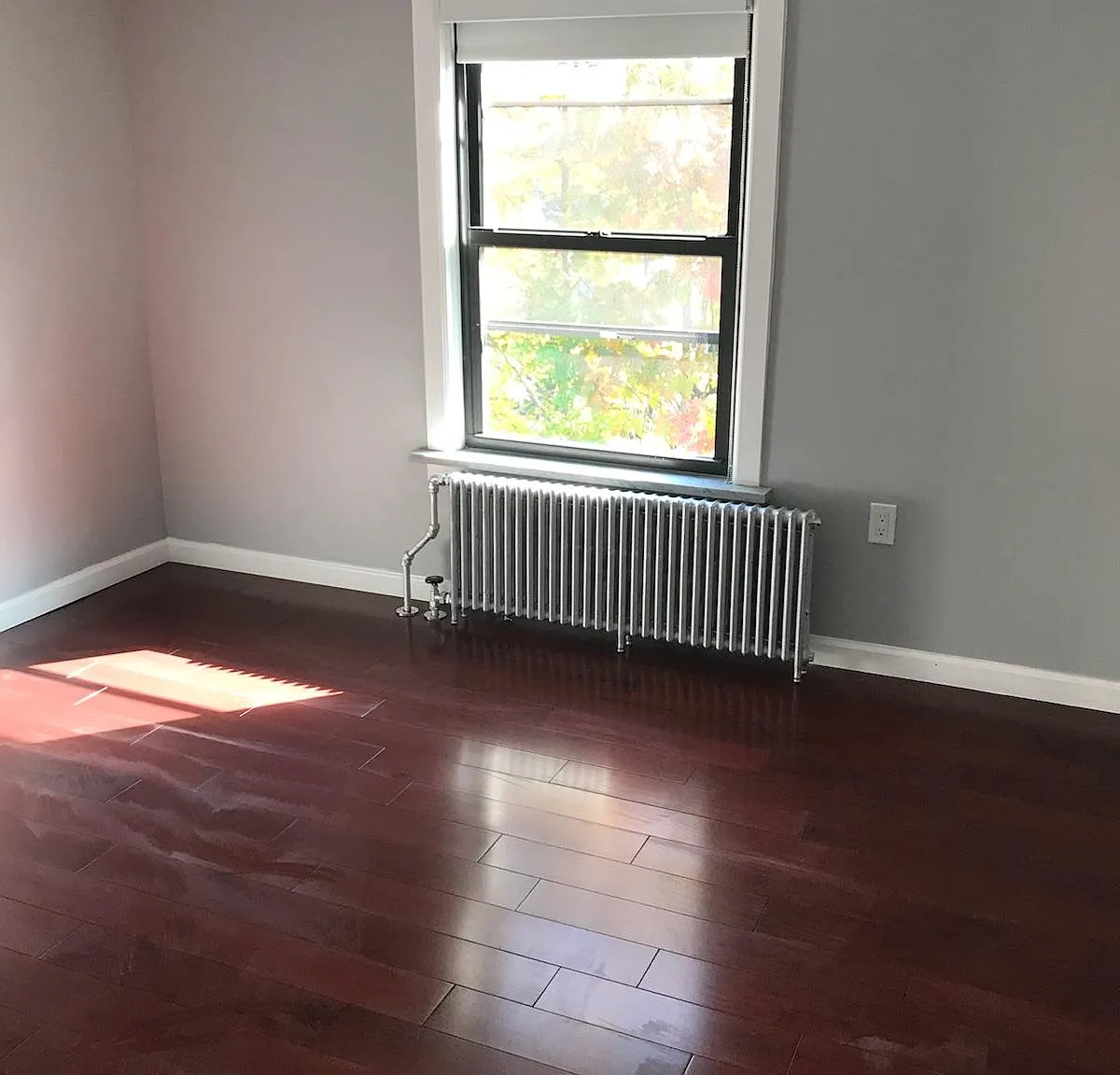 2 bed, $2,800 — Photo 2