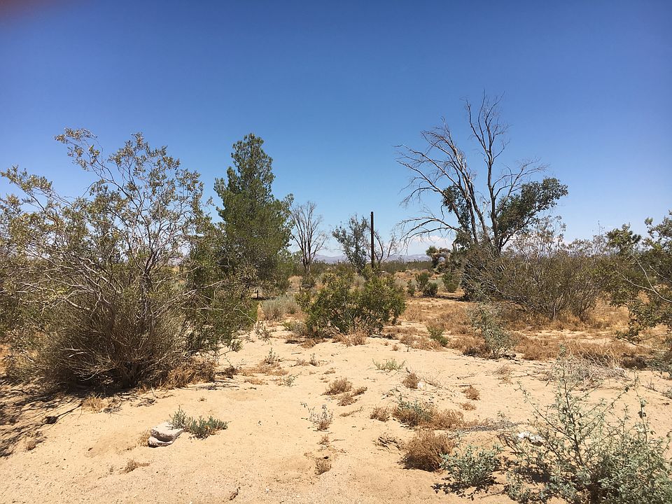 2nd image of 11267 Barker Rd #32