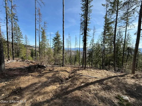 721 Upriver View Dr, Fernwood, ID 83830