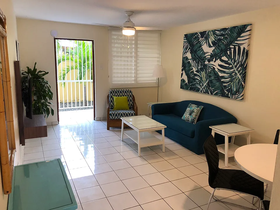 Buena Vida Apartment 102 Living room