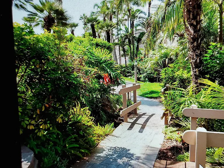 Walkway through the Complex