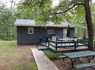 4510 S Betka Dr, Baldwin, MI 49304