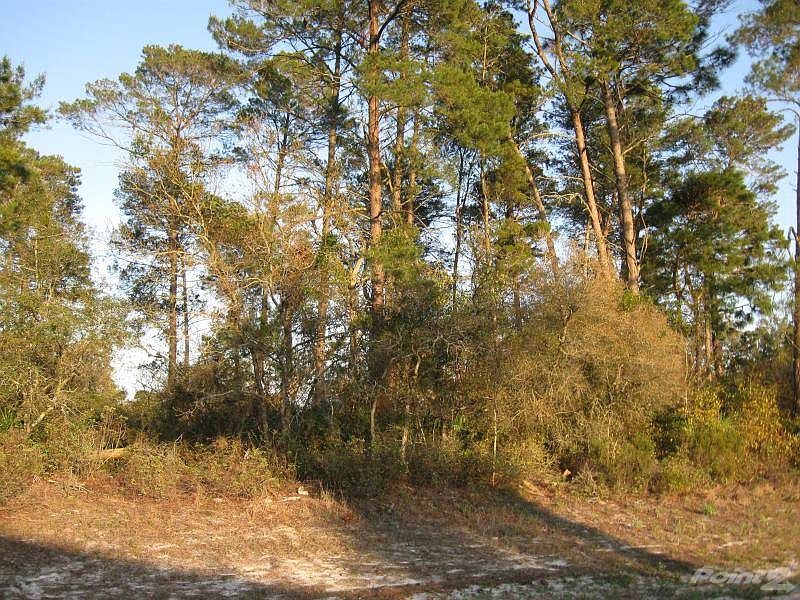View from Street