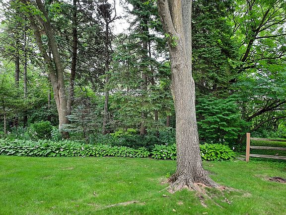 More beautiful views from 1st floor.