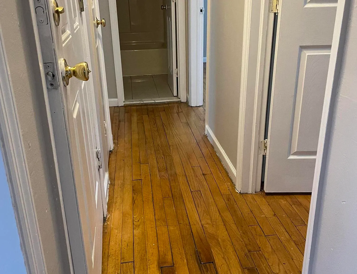 3 bed, 900 sqft, $2,800 — Photo 3