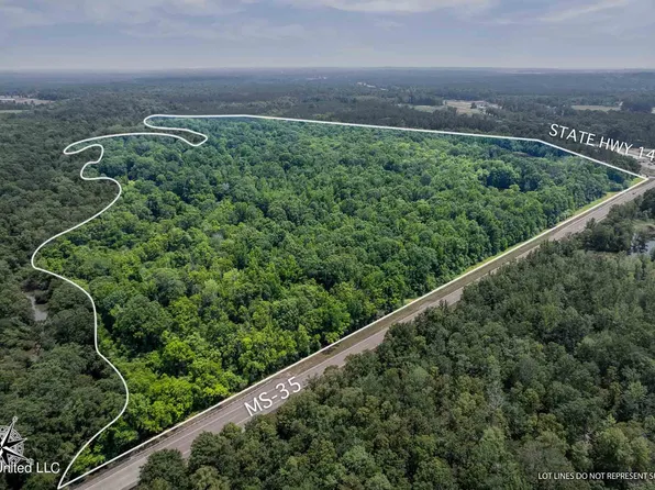 110 / Hwy #35, Mount Olive, MS 39119