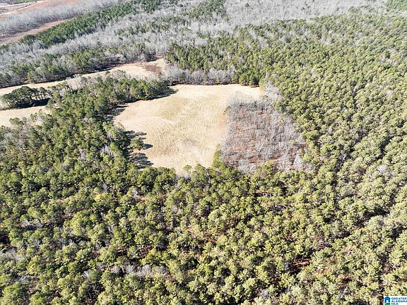 3rd image of 50/ACRE S County Road 632