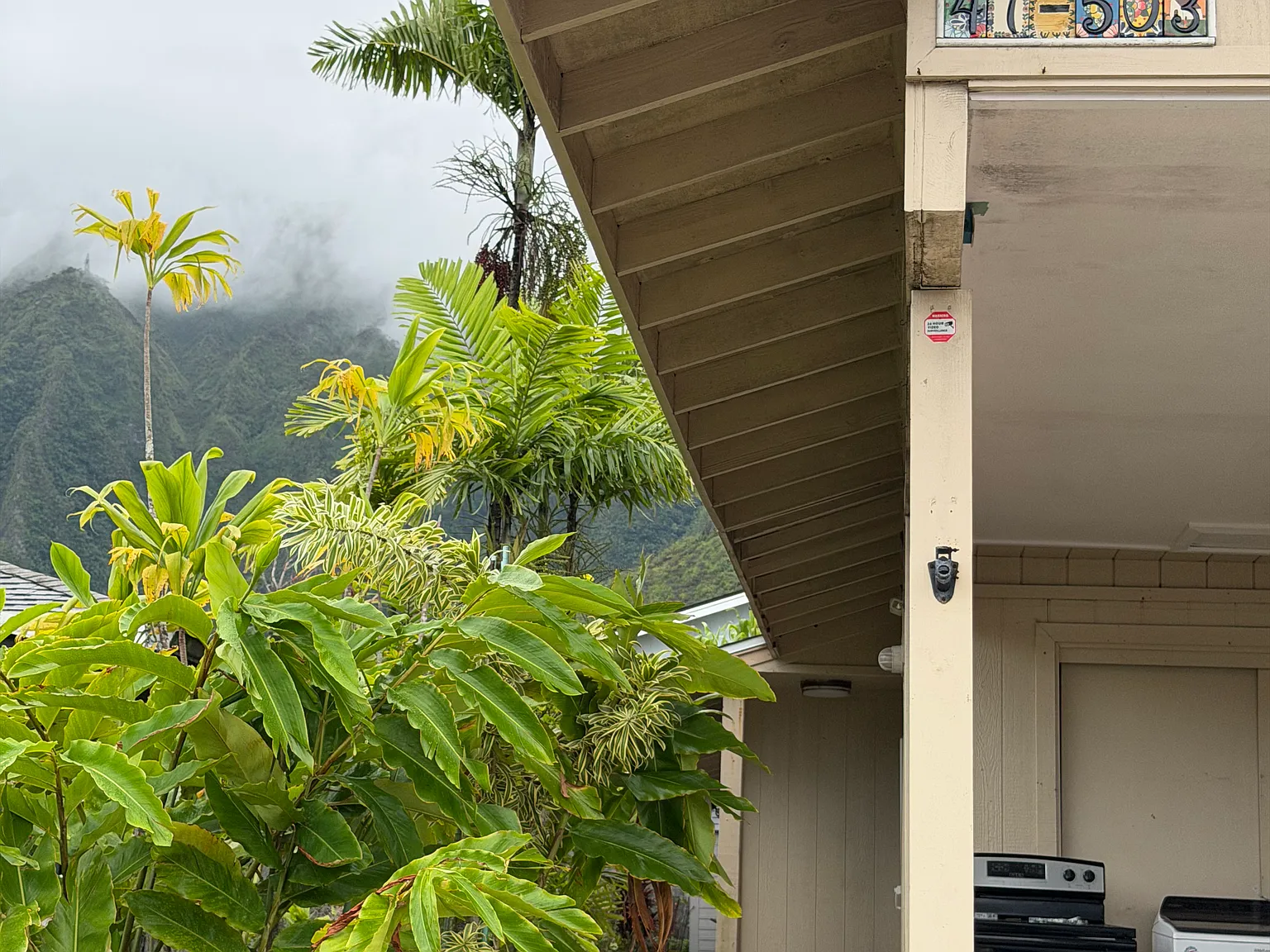 3 bed, 1000 sqft, $3,000 — Photo 2