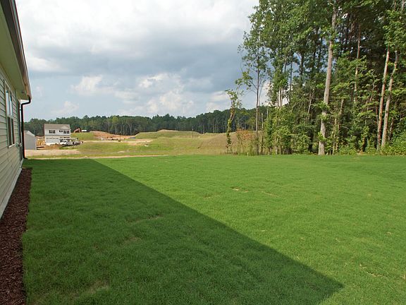 Back yard & open space view