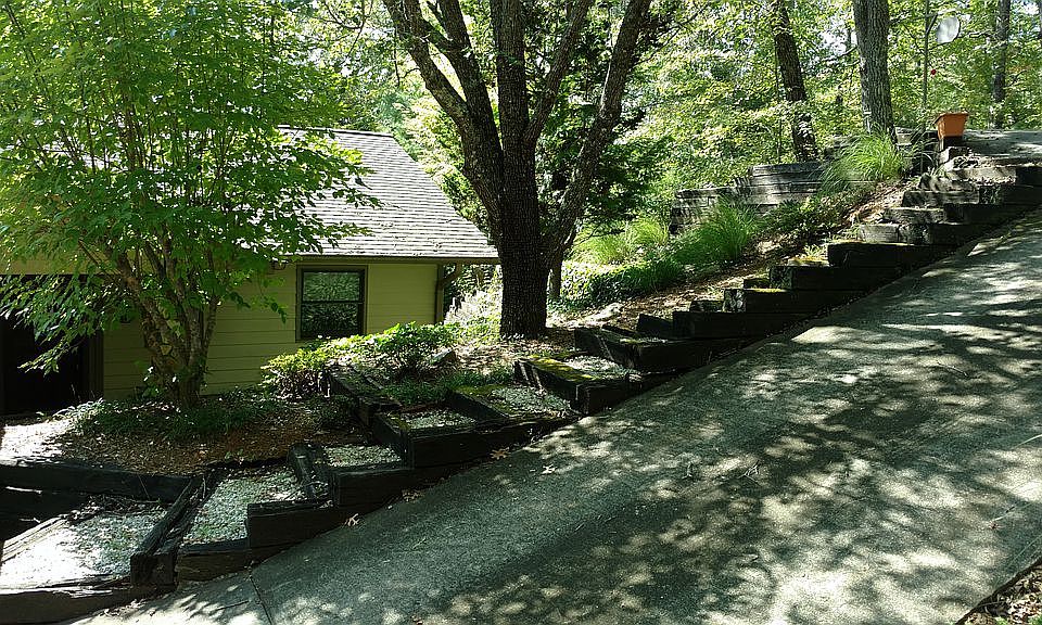 Drive Way View
