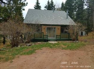 170 Stacey Ln, Woodland Park, CO 80863