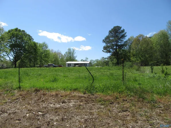 570 County Road 319, Trinity, AL 35673