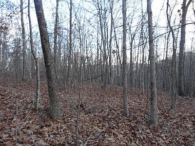 3rd image of Anderson Estates Rd