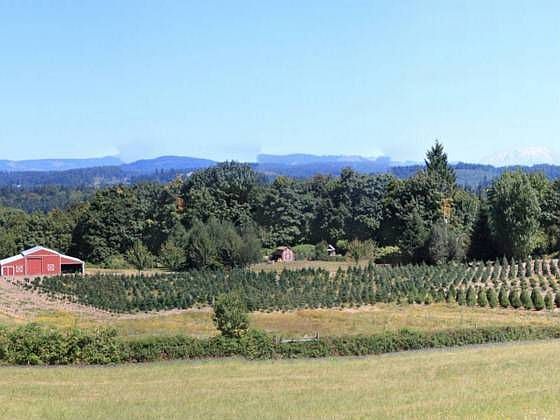 1st image of 27212 NE Bjur Rd