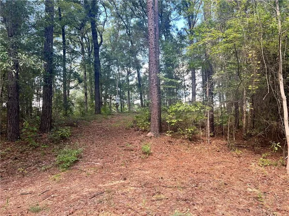 131 Bud Ates Rd, Pollock, LA 71467