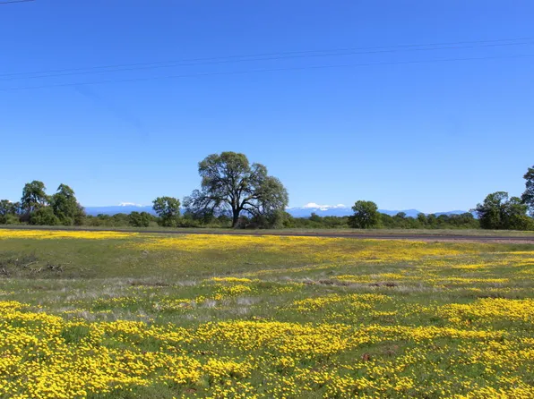 19073 River Downs Way, Cottonwood, CA 96022
