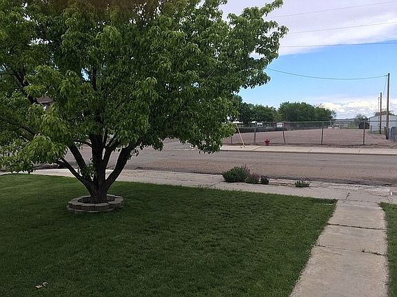 Pear tree, east view