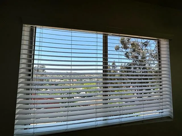 6474 Scimitar Dr — Photo 3