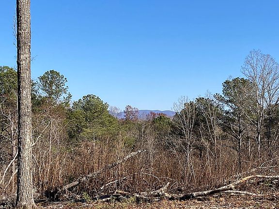 East Mountain 2