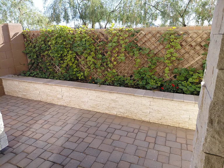 Backyard planter