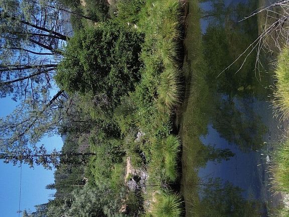 4th image of 17841 Wildwood Rd