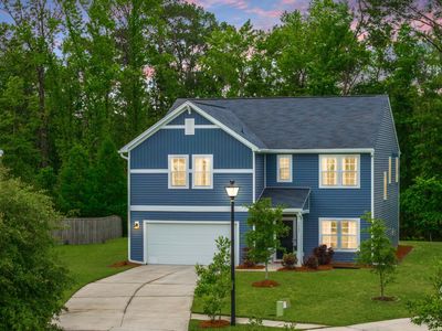 1387 Thin Pine Dr, Johns Island, SC, 29455