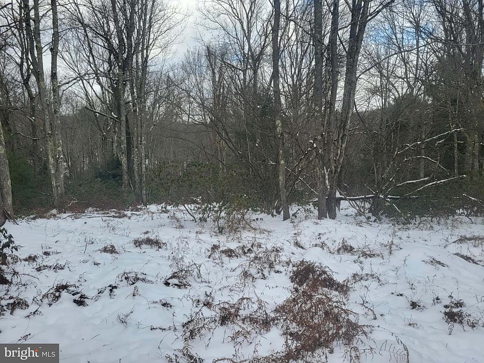 1st image of 33 Black Bear Trail