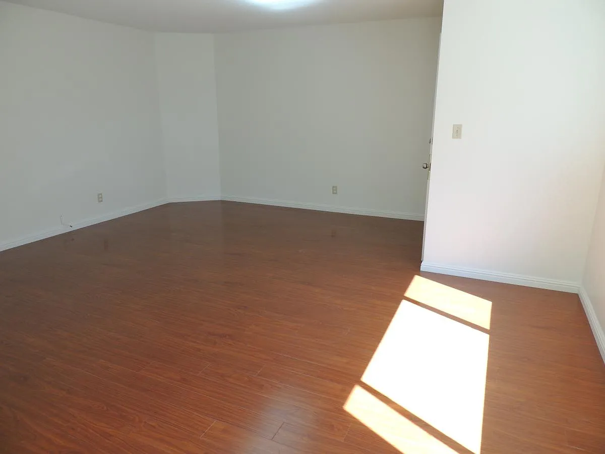 2 bed, 900 sqft, $3,000 — Photo 3