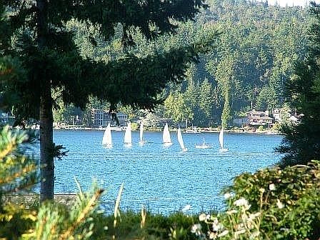 Watch Sailboat Races!