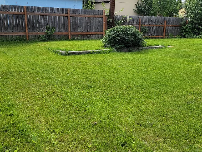 1017 Pedro St — Photo 21