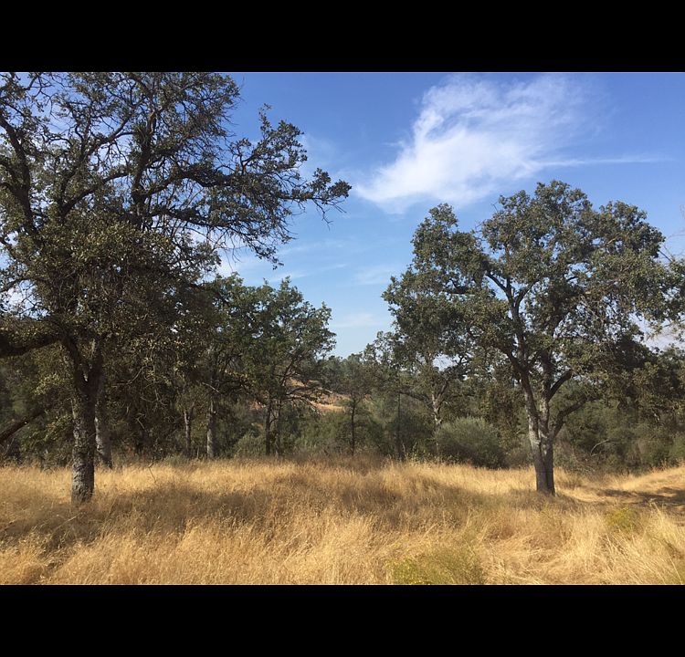 1st image of Tioga Dr