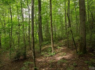 154 Lonesome Valley Rd, Glenville, NC 28736