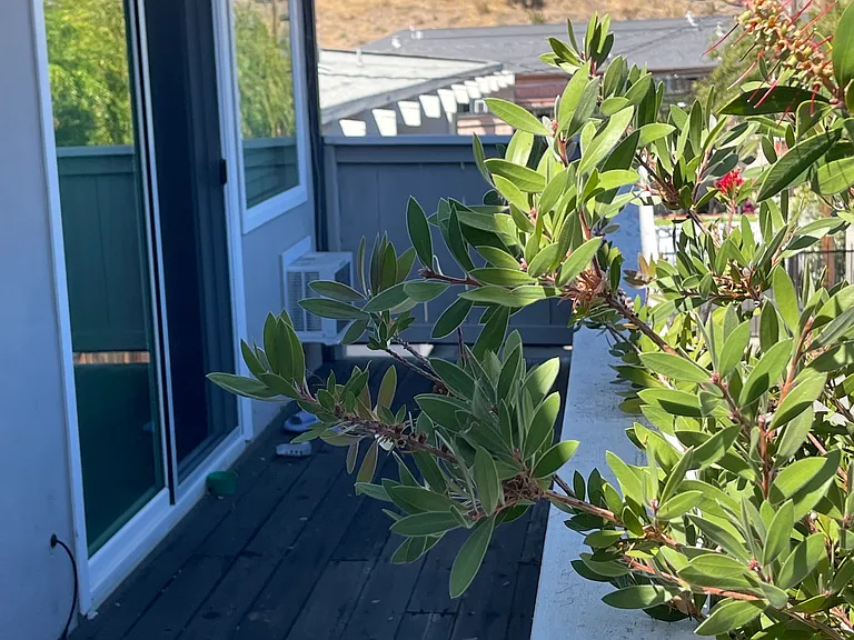 7 Garden Ct #4 — Photo 1