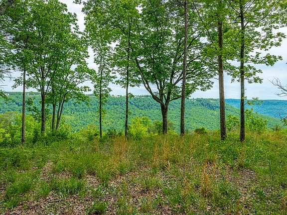 5th image of 0 Crockett Loop #Jf160