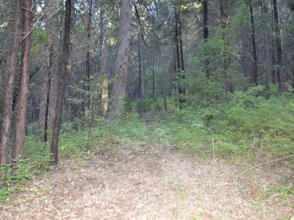 Lodestone Rd, Somerset, CA 95684