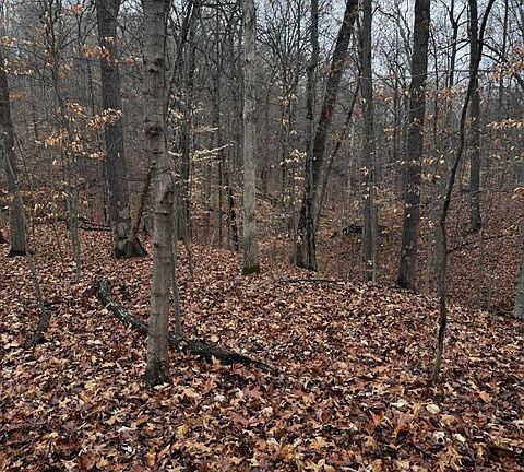 3rd image of LOT 162 N Foxcliff Dr W