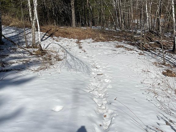 5th image of 305th St