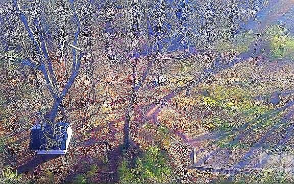 4th image of 138 Rash Rd